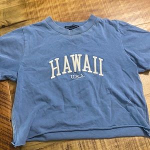 Brandy Melville Crop Top Blue